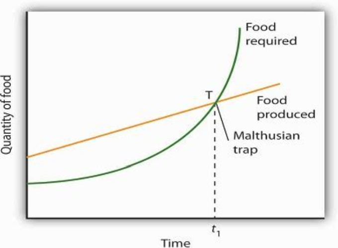 A graph of food products and trap

Description automatically generated